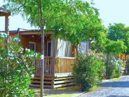 Camping Pas Cher vous présente avec son site Officiel campingpascher.fr, le Camping Resort Els Pins classé 4 étoiles, situé sur la commune de Malgrat De Mar dans le département Barcelone (Catalogne) en Espagne. Le camping Resort Els Pins, vous présente un hébergement de type mobil-home de 28 m² avec climatisation et télévision. Le camping Resort Els Pins vous propose du lundi 06 avril au lundi 13 avril 2026, en promotion à -15% pour 7 nuits à 756,30 € au lieu de 889,77 € soit une Économie de 133,47 €. Cette location propose 177 dates différentes pour réserver votre séjour. Découvrez également les 7 autres gammes d'hébergements du camping. Les Avis clients pour le Camping Resort Els Pins sont excellents avec une note moyenne de 8 sur 10. LacMerRivière, Parc aquatique, Piscine extérieure, Animations familiales, Club enfants, Aire de jeux enfants, Canoë-kayak, Centre équestre, Cyclisme, Golf, Paddle, Ping-pong, Pétanque, Randonnée, Ski nautique, Terrain de volley-ball, Terrain multisports, Voile, kiteSurf, Bar, Dépôt de pain, Restaurant, Supermarché, Épicerie,... En savoir plus : cliquez-ICI.
