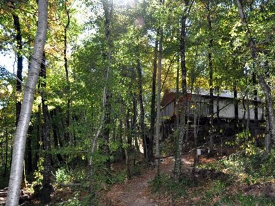 Cliquez pour découvrir toutes les photos de l'ÉTABLISSEMENT ! camping Glamping Terre Rouge photo 7