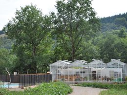 Camping Pas Cher vous présente avec son site Officiel campingpascher.fr, le Camping Glamping Terre Rouge classé 2 étoiles, situé sur la commune de Villecomtal dans le département Aveyron (Midi Pyrénées) en France. Le camping Glamping Terre Rouge, vous présente un hébergement de type tente. Le camping Glamping Terre Rouge vous propose du sam. 13 juin au sam. 20 juin 2026 pour 7 nuits à 350€. Cette location propose 15 dates différentes pour réserver votre séjour. Découvrez également les 2 autres gammes d'hébergements du camping. Piscine chauffée, Piscine extérieure, Aire de jeux enfants, Canoë-kayak, Centre équestre, Golf, Randonnée, Salle de jeux vidéo, Bar, Dépôt de pain, Plats à emporter,... En savoir plus : cliquez-ICI.