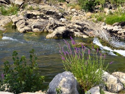 Cliquez pour découvrir toutes les photos de l'ÉTABLISSEMENT ! camping La Plage De L'Orb photo 9