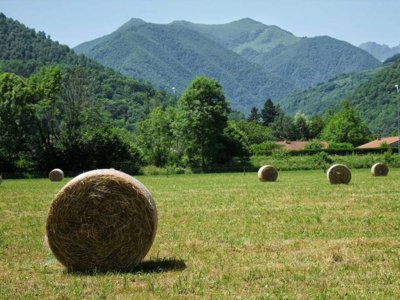 camping Le Haut Salat photo 12