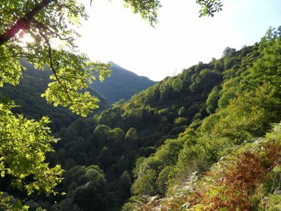 camping Le Haut Salat photo 26