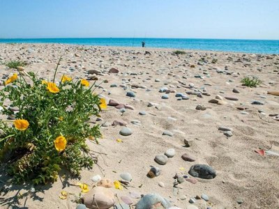 Cliquez pour découvrir toutes les photos de l'ÉTABLISSEMENT ! camping Monmar photo 28