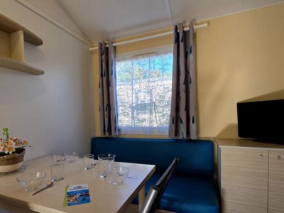 Cliquez pour découvrir toutes les photos de l'HÉBERGEMENT ! mobil-home - Les Mancellieres photo 2
