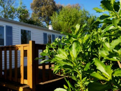 Cliquez pour découvrir toutes les photos de l'HÉBERGEMENT ! mobil-home - Les Mancellieres photo 2