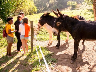 Cliquez pour découvrir toutes les photos de l'ÉTABLISSEMENT ! camping Les Vernières photo 23