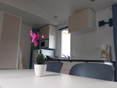 Cliquez pour découvrir toutes les photos de l'HÉBERGEMENT ! mobil-home - Le Terrados photo 2