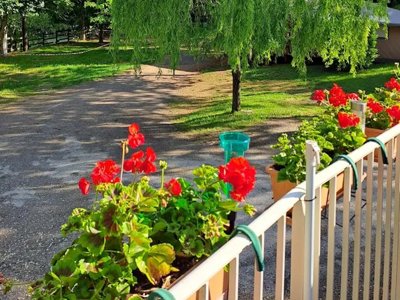 Cliquez pour découvrir toutes les photos de l'ÉTABLISSEMENT ! camping Le Terrados photo 5