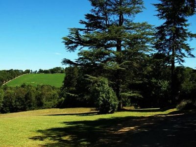 camping Château De Lacomté photo 27