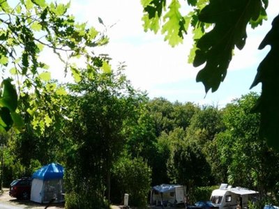 camping Château De Lacomté photo 30