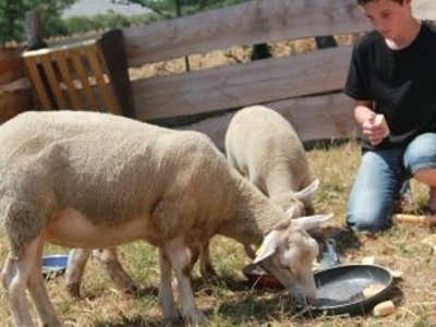 Cliquez pour découvrir toutes les photos de l'ÉTABLISSEMENT ! camping La Ferme De Lann Hoëdic photo 14