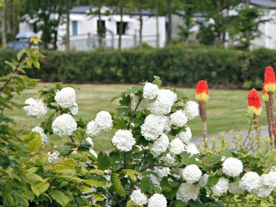 Cliquez pour découvrir toutes les photos de l'ÉTABLISSEMENT ! camping La Ferme De Lann Hoëdic photo 25
