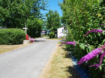 Cliquez pour découvrir toutes les photos de l'ÉTABLISSEMENT ! camping La Ferme De Lann Hoëdic photo 27