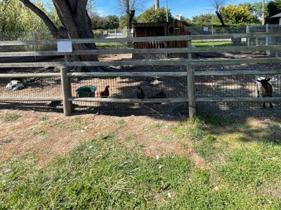 camping Aqua 3 Masses photo 4