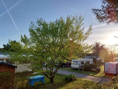 Cliquez pour découvrir toutes les photos de l'ÉTABLISSEMENT ! camping De Prigny photo 14