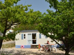 Camping Pas Cher vous présente avec son site Officiel campingpascher.fr, le Camping Les Terrasses Provençales classé 4 étoiles, situé sur la commune de Venterol dans le département Drome (Rhône Alpes) en France. Le camping Les Terrasses Provençales, vous présente un hébergement de type mobil-home de 24 m² et télévision. Le camping Les Terrasses Provençales vous propose du sam. 19 septembre au sam. 26 septembre 2026 pour 7 nuits à 345€. Cette location propose 108 dates différentes pour réserver votre séjour. Découvrez également les 9 autres gammes d'hébergements du camping. Les Avis clients pour le Camping Les Terrasses Provençales sont excellents avec une note moyenne de 8 sur 10. Piscine chauffée, Piscine extérieure, Animations familiales, Aire de jeux enfants, Cyclisme, Ping-pong, Piscine, Pétanque, Randonnée, Structure gonflable enfants, Terrain de volley-ball, Dépôt de pain, Plats à emporter, Restaurant, Snack/Bar, Supermarché, Épicerie,... En savoir plus : cliquez-ICI.