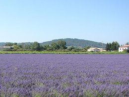 Camping Pas Cher vous présente avec son site Officiel campingpascher.fr, le Camping Les Terrasses Provençales classé 4 étoiles, situé sur la commune de Venterol dans le département Drome (Rhône Alpes) en France. Le camping Les Terrasses Provençales vous propose un hébergement de type mobil-home de 25 m². L'établissement vous propose 11 autres types d'hébergements. Découvrez tous nos séjours à petits prix dans la commune et aux alentours de Venterol du département : Drome (Rhône Alpes). Les Avis clients pour le Camping Les Terrasses Provençales sont excellents avec une note moyenne de 8 sur 10. Piscine chauffée, Piscine extérieure, Animations familiales, Aire de jeux enfants, Cyclisme, Ping-pong, Piscine, Pétanque, Randonnée, Structure gonflable enfants, Terrain de volley-ball, Dépôt de pain, Plats à emporter, Restaurant, Snack/Bar, Supermarché, Épicerie,... En savoir plus : cliquez-ICI.