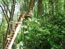 Cliquez pour découvrir toutes les photos de l'HÉBERGEMENT ! hébergement insolite - camping Parc De La Belle photo 2