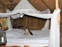 Cliquez pour découvrir toutes les photos de l'HÉBERGEMENT ! hébergement insolite - camping Parc De La Belle photo 3