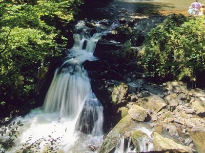 Cliquez pour découvrir toutes les photos de l'ÉTABLISSEMENT ! camping Aux Portes Des Mille Sources photo 27