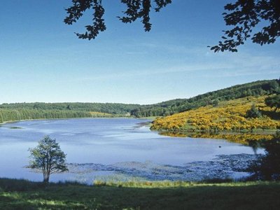 Cliquez pour découvrir toutes les photos de l'ÉTABLISSEMENT ! camping Aux Portes Des Mille Sources photo 28
