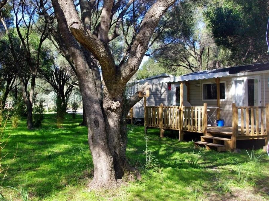 Camping Pas Cher vous présente avec son site Officiel campingpascher.fr, le Camping Casa Di Luna classé 2 étoiles, situé sur la commune de Galéria dans le département Corse Du Nord (Corse) en France. Le camping Casa Di Luna, vous présente un hébergement de type mobil-home de 40 m² avec climatisation. Le camping Casa Di Luna vous propose du sam. 06 juin au sam. 13 juin 2026 pour 7 nuits à 450€. Cette location propose 13 dates différentes pour réserver votre séjour. Découvrez également les 3 autres gammes d'hébergements du camping. Les Avis clients pour le Camping Casa Di Luna sont excellents avec une note moyenne de 8 sur 10. Piscine extérieure, Animations familiales, Aire de jeux enfants, Canoë-kayak, Canyoning, Location de bateaux, Paddle, Ping-pong, Plongée, Pétanque, Randonnée, Dépôt de pain, Plats à emporter, Supermarché,... En savoir plus : cliquez-ICI.