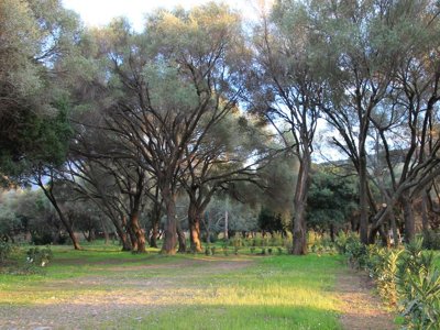 Cliquez pour découvrir toutes les photos de l'ÉTABLISSEMENT ! camping Casa Di Luna photo 4