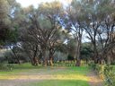 Cliquez pour découvrir toutes les photos de l'ÉTABLISSEMENT ! camping Casa Di Luna photo 4