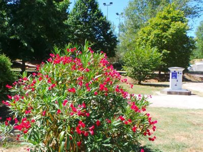 camping Flower  Le Lac De Thesauque photo 11