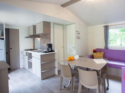 Cliquez pour découvrir toutes les photos de l'HÉBERGEMENT ! mobil-home - Domaine La Faurie photo 2