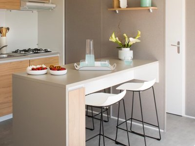 Cliquez pour découvrir toutes les photos de l'HÉBERGEMENT ! mobil-home - Sunêlia Le Tropicana photo 2