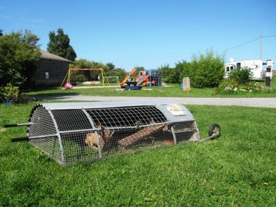 Cliquez pour découvrir toutes les photos de l'ÉTABLISSEMENT ! camping La Ferme Du Bord De Mer photo 14