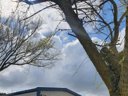 Cliquez pour découvrir toutes les photos de l'HÉBERGEMENT ! mobil-home - camping La Ferme Du Bord De Mer photo 2