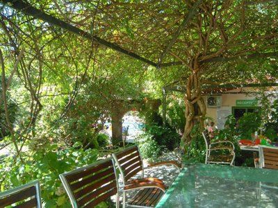 camping Delle Rose photo 23