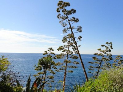 camping Delle Rose photo 24