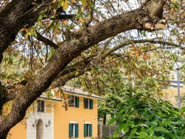 Camping Pas Cher vous présente avec son site Officiel campingpascher.fr, le Camping Delle Rose classé 4 étoiles, situé sur la commune de Isolabona dans le département Imperia (Ligurie) en Italie. Le camping Delle Rose, vous présente un hébergement de type maison avec climatisation et télévision. Le camping Delle Rose vous propose du mercredi 01 avril au mercredi 08 avril 2026, en promotion à -25% pour 7 nuits à 300 € au lieu de 400,0 € soit une Économie de 100 €. Cette location propose 152 dates différentes pour réserver votre séjour. Découvrez également les 7 autres gammes d'hébergements du camping. Les Avis clients pour le Camping Delle Rose sont excellents avec une note moyenne de 8 sur 10. Piscine extérieure, Animations familiales, Club enfants, Aire de jeux enfants, Court de tennis, Ping-pong, Planche à voile, Plongée, Randonnée, Salle de fitness, Salle de jeux vidéo, Bar, Dépôt de pain, Pizzeria, Plats à emporter, Restaurant, Épicerie,... En savoir plus : cliquez-ICI.