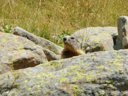 camping Lou Gourdan photo 9