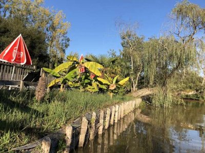 Cliquez pour découvrir toutes les photos de l'ÉTABLISSEMENT ! camping Maeva Respire La Comtesse photo 12