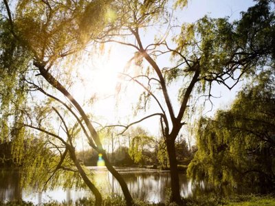 Cliquez pour découvrir toutes les photos de l'ÉTABLISSEMENT ! camping Maeva Respire La Comtesse photo 22