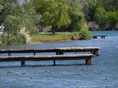 camping De L'Arquebuse photo 15