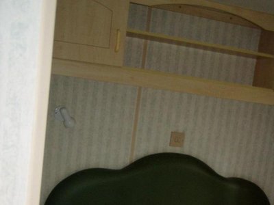 Cliquez pour découvrir toutes les photos de l'HÉBERGEMENT ! mobil-home - La Foret photo 4