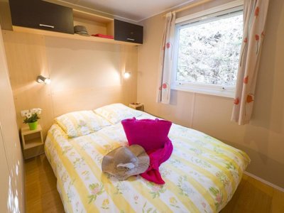 Cliquez pour découvrir toutes les photos de l'HÉBERGEMENT ! mobil-home - La Foret photo 2