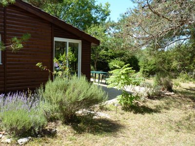Cliquez pour découvrir toutes les photos de l'ÉTABLISSEMENT ! camping La Foret photo 17