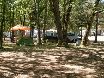 Cliquez pour découvrir toutes les photos de l'ÉTABLISSEMENT ! camping La Foret photo 30