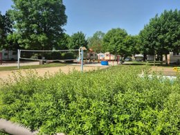 Camping Pas Cher vous présente avec son site Officiel campingpascher.fr, le Camping Les Bords De Loue classé 3 étoiles, situé sur la commune de Parcey dans le département Jura (Franche Comté) en France. Le camping Les Bords De Loue, vous présente un hébergement de type chalet de 13 m² pour 1 personne. Le camping Les Bords De Loue vous propose du lundi 01 juin au lundi 08 juin 2026 pour 7 nuits à 231€. Cette location propose 58 dates différentes pour réserver votre séjour. Découvrez également les 12 autres gammes d'hébergements du camping. Les Avis clients pour le Camping Les Bords De Loue sont excellents avec une note moyenne de 8 sur 10. Rivière, Piscine chauffée, Piscine extérieure, Animation enfants, Animations familiales, Aire de jeux enfants, Baby-foot, Canoë-kayak, Court de tennis, Cyclisme, Golf, Parcours sportif, Ping-pong, Pétanque, Randonnée, Structure gonflable enfants, Terrain de badminton, Terrain de volley-ball, Bar, Boulangerie, Brasserie, Bureau de tabac, Dépôt de pain, Plats à emporter, Restaurant, Snack/Bar, Station-service, Épicerie,... En savoir plus : cliquez-ICI.