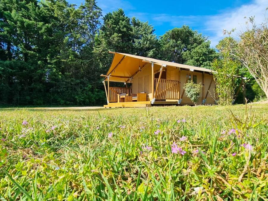 Camping Pas Cher vous présente avec son site Officiel campingpascher.fr, le Camping Flower Les Micocouliers classé 3 étoiles, situé sur la commune de Graveson dans le département Bouches-du-rhône (Provence Alpes Côte D'azur) en France. Le camping Flower Les Micocouliers, vous présente un hébergement de type lodge pour 5 personnes. Le camping Flower Les Micocouliers vous propose du sam. 26 septembre au sam. 03 octobre 2026 pour 7 nuits à 369.5€. Cette location propose 23 dates différentes pour réserver votre séjour. Découvrez également les 9 autres gammes d'hébergements du camping. Les Avis clients pour le Camping Flower Les Micocouliers sont excellents avec une note moyenne de 8 sur 10. Piscine chauffée, Piscine extérieure, Aire de jeux enfants, Centre équestre, Cyclisme, Parcours sportif, Ping-pong, Pétanque, Randonnée, Terrain de badminton, Terrain de volley-ball, Bar, Dépôt de pain, Snack/Bar, Épicerie,... En savoir plus : cliquez-ICI.