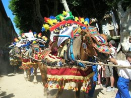 Camping Pas Cher vous présente avec son site Officiel campingpascher.fr, le Camping Flower Les Micocouliers classé 3 étoiles, situé sur la commune de Graveson dans le département Bouches-du-rhône (Provence Alpes Côte D'azur) en France. Le camping Flower Les Micocouliers, vous présente un hébergement de type lodge pour 5 personnes. Le camping Flower Les Micocouliers vous propose du dimanche 15 mars au dimanche 22 mars 2026 pour 7 nuits à 300€. Cette location propose 86 dates différentes pour réserver votre séjour. Découvrez également les 8 autres gammes d'hébergements du camping. Les Avis clients pour le Camping Flower Les Micocouliers sont excellents avec une note moyenne de 8 sur 10. Piscine chauffée, Piscine extérieure, Aire de jeux enfants, Centre équestre, Cyclisme, Parcours sportif, Ping-pong, Pétanque, Randonnée, Terrain de badminton, Terrain de volley-ball, Bar, Dépôt de pain, Snack/Bar, Épicerie,... En savoir plus : cliquez-ICI.