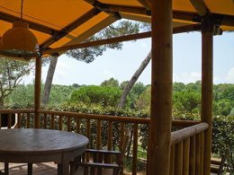 Camping Pas Cher vous présente avec son site Officiel campingpascher.fr, le Camping Leï Suves classé 4 étoiles, situé sur la commune de Roquebrune Sur Argens dans le département Var (Provence Alpes Côte D'azur) en France. Le camping Leï Suves, vous présente un hébergement de type tente en toile et bois de 30 m² avec climatisation. Le camping Leï Suves vous propose du sam. 27 juin au sam. 04 juillet 2026, en promotion à -12% pour 7 nuits à 652 € au lieu de 741,0 € soit une Économie de 89 €. Cette location propose 102 dates différentes pour réserver votre séjour. Découvrez également les 5 autres gammes d'hébergements du camping. Les Avis clients pour le Camping Leï Suves sont excellents avec une note moyenne de 8 sur 10. Piscine chauffée, Piscine extérieure, Animations familiales, Club ados, Club enfants, Aire de jeux enfants, Baby-foot, Court de tennis, Golf, Ping-pong, Piscine, Pétanque, Salle de jeux vidéo, Terrain multisports, Bar, Dépôt de pain, Pizzeria, Restaurant, Snack/Bar, Épicerie,... En savoir plus : cliquez-ICI.