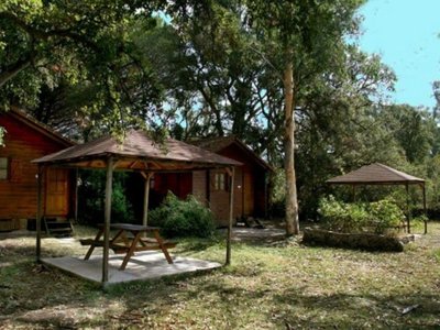 Cliquez pour découvrir toutes les photos de l'ÉTABLISSEMENT ! camping U Stabiacciu & Chalets photo 10