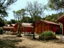 Cliquez pour découvrir toutes les photos de l'HÉBERGEMENT ! chalet - camping U Stabiacciu & Chalets photo 6